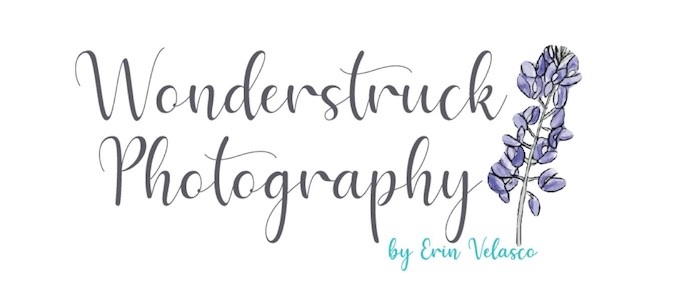 Wonderstruck Photography by Erin Velasco